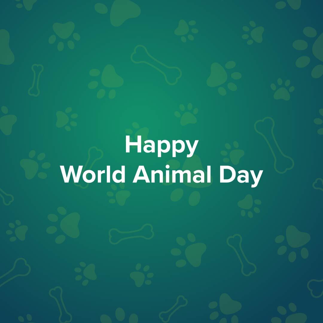 World Animal Day